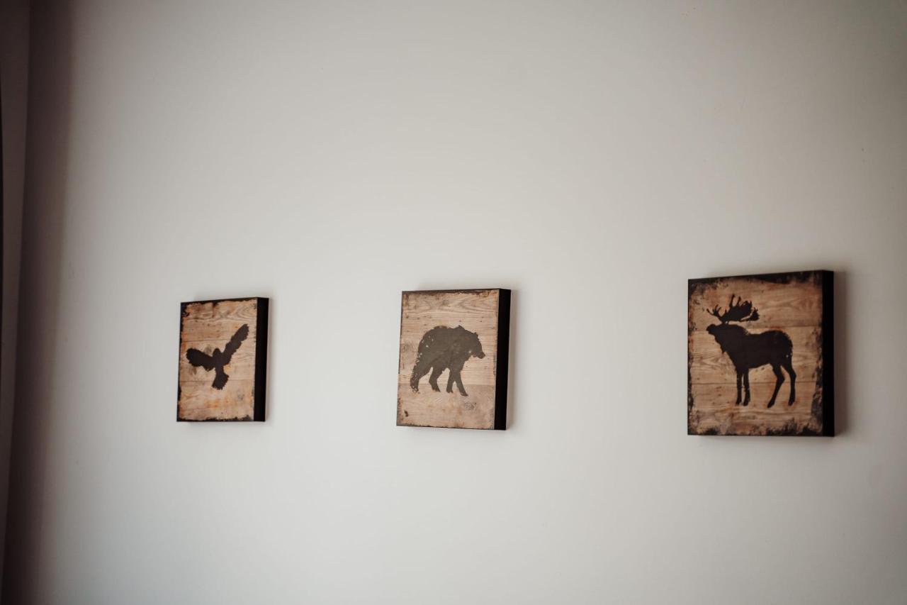 Jeleni Jar Apartamenty Duszniki Zdrój Exteriér fotografie