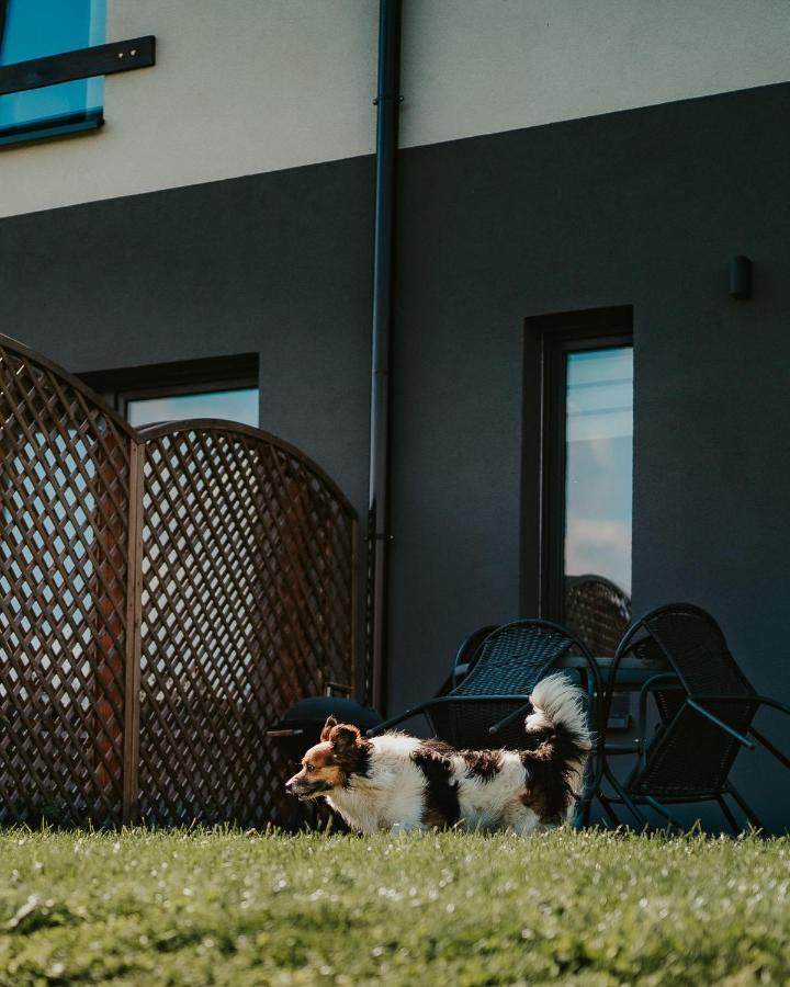 Jeleni Jar Apartamenty Duszniki Zdrój Exteriér fotografie