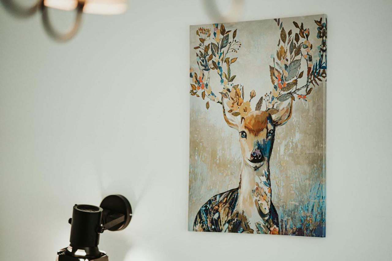 Jeleni Jar Apartamenty Duszniki Zdrój Exteriér fotografie