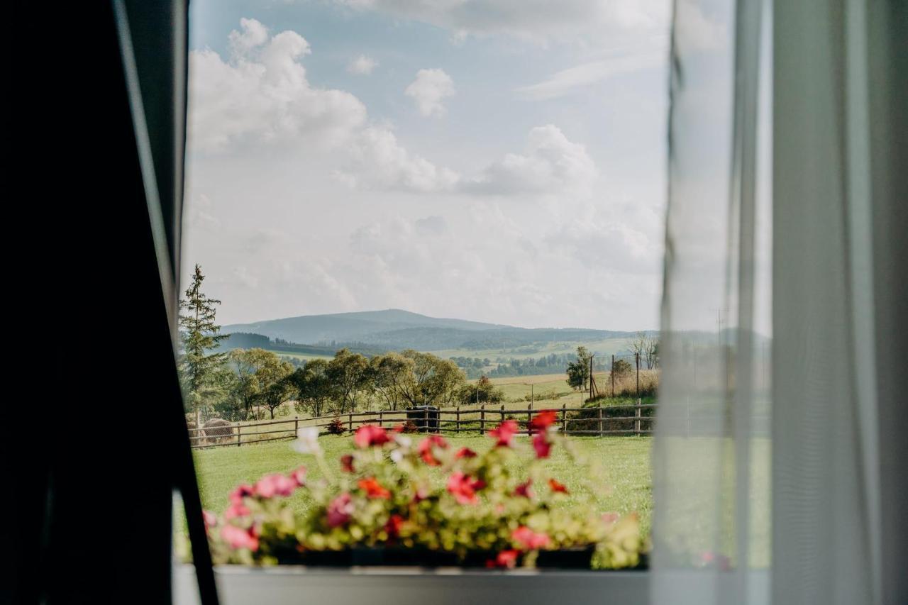 Jeleni Jar Apartamenty Duszniki Zdrój Exteriér fotografie